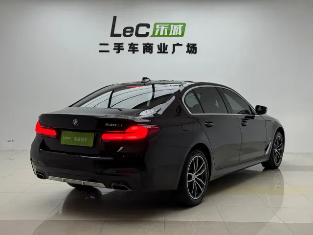 BMW 5 Series — Фото автомобиля 6