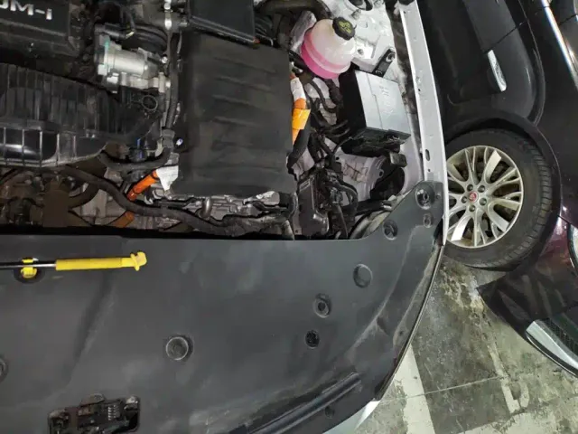 BYD Qin PLUS — Фото автомобиля 22