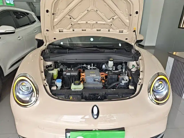 Ora Good Cat — Фото автомобиля 19