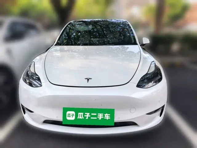 Tesla Model Y — Фото автомобиля 22