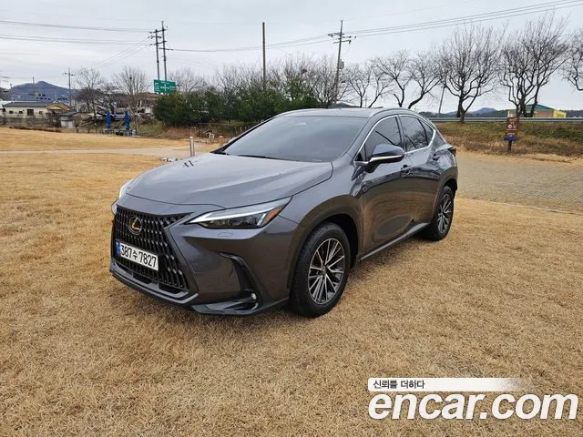 Lexus NX — Фото автомобиля 3