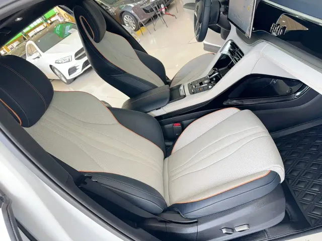 BYD Song PLUS — Фото автомобиля 16