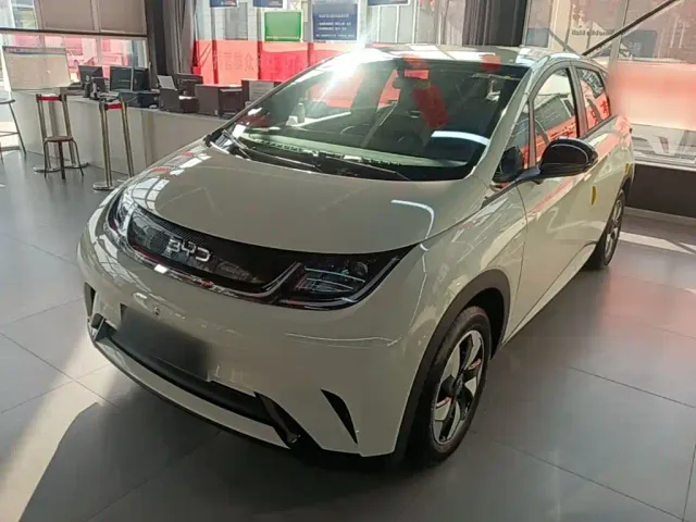 Фотография автомобиля — BYD Dolphin
