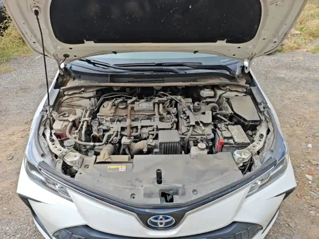 Toyota Corolla — Фото автомобиля 19