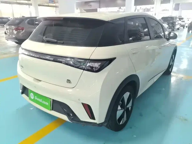 BYD Dolphin — Фото автомобиля 4