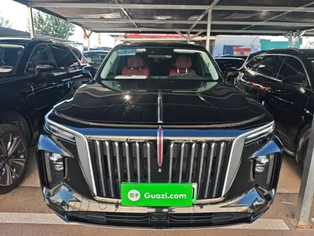 Hongqi E-HS9 — Фото автомобиля 2