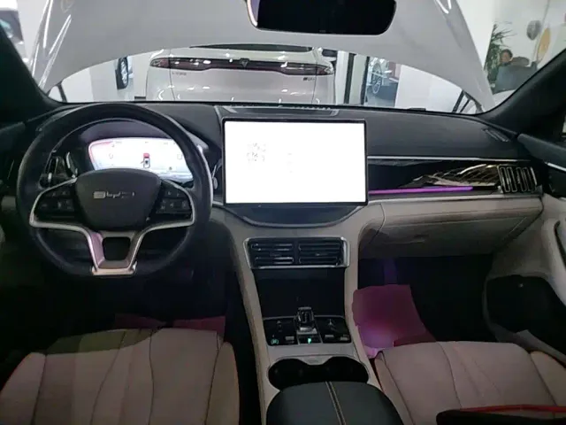 BYD Song PLUS — Фото автомобиля 9