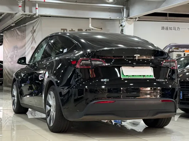 Tesla Model Y — Фото автомобиля 14