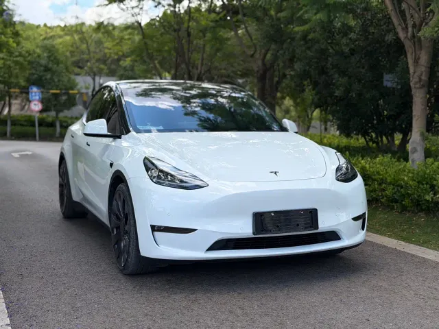 Tesla Model Y — Фото автомобиля 3