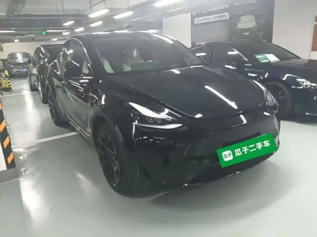 Tesla Model Y — Фото автомобиля 3