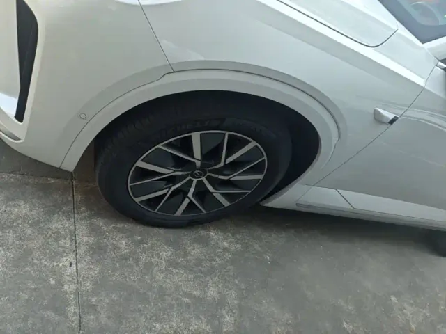 GAC Trumpchi Xiangwang S9 — Фото автомобиля 22