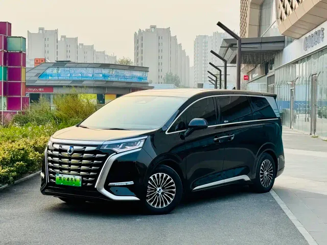 Фотография автомобиля — Denza D9