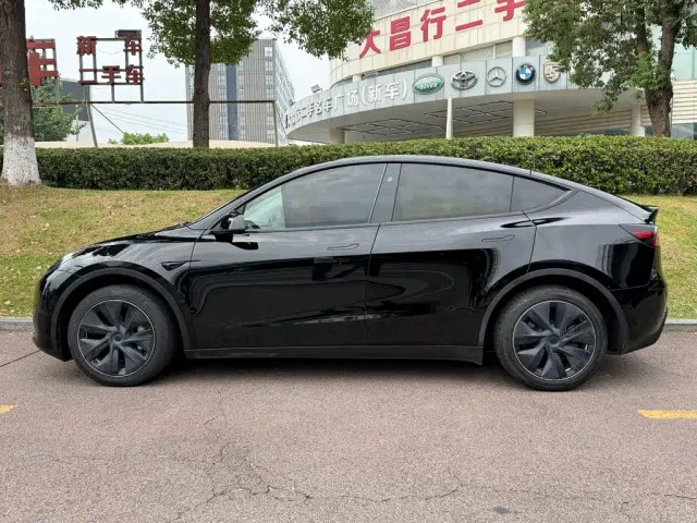 Tesla Model Y — Фото автомобиля 3
