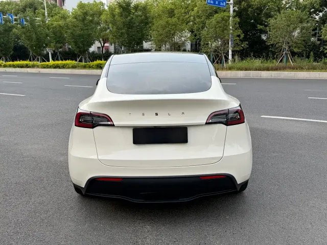 Tesla Model Y — Фото автомобиля 4