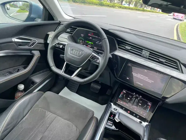 Audi Audi e-tron 2021 50 quattro Exclusive Selection — Фото автомобиля 14