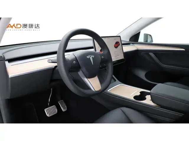 Tesla Model Y — Фото автомобиля 6