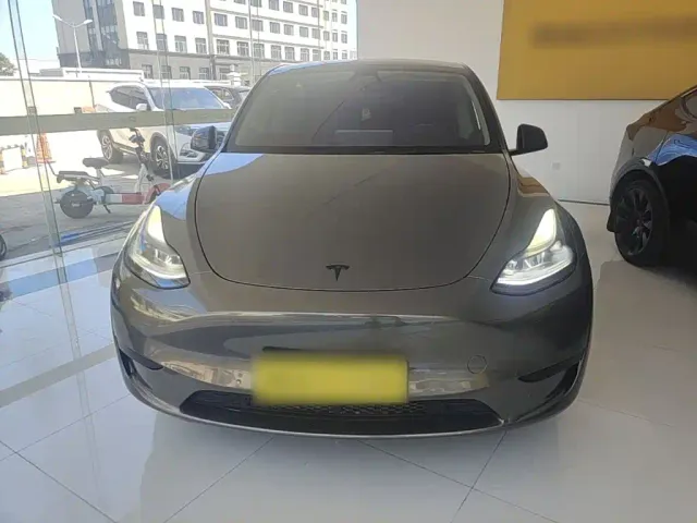 Tesla Model Y — Фото автомобиля 2