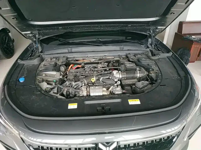 Voyah Auto VOYAH FREE 2025 318 318km RWD Touring Edition — Фото автомобиля 19