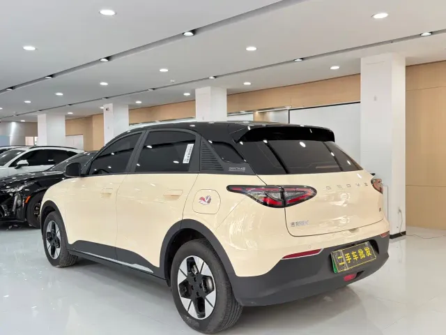 Geely Starry Wish — Фото автомобиля 9