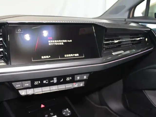 Audi Q4 e-tron — Фото автомобиля 11
