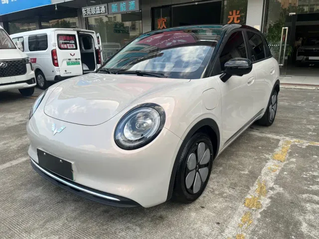 Фотография автомобиля — Wuling Binguo Pro