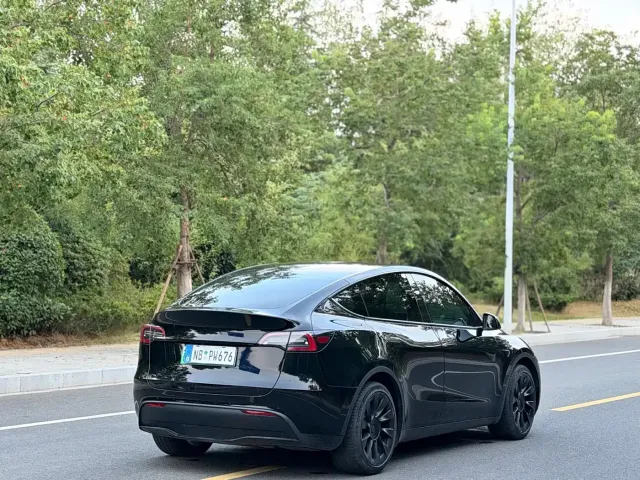 Tesla Model Y — Фото автомобиля 12