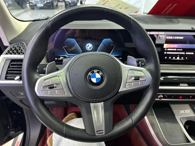 BMW X5 — Фото автомобиля 23
