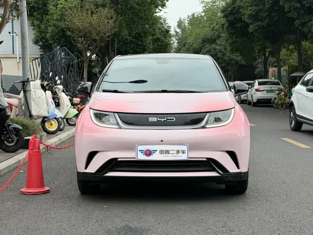 BYD Dolphin — Фото автомобиля 2
