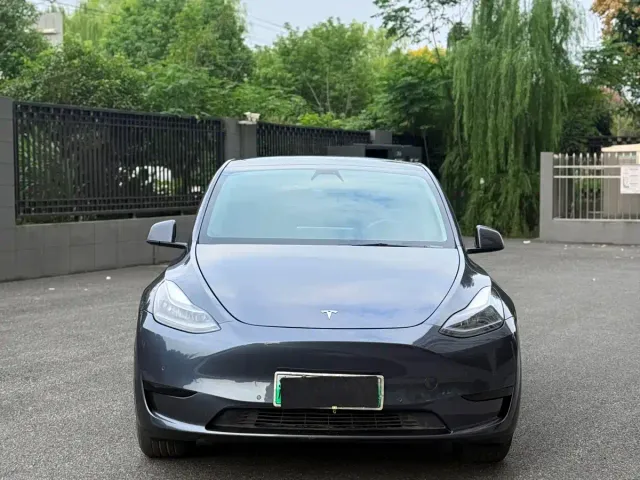 Tesla Model Y — Фото автомобиля 3