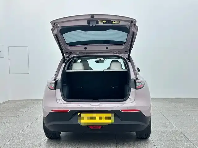 Geely Starry Wish — Фото автомобиля 18