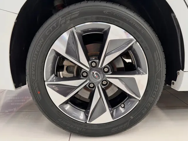 GAC Trumpchi M6 — Фото автомобиля 19