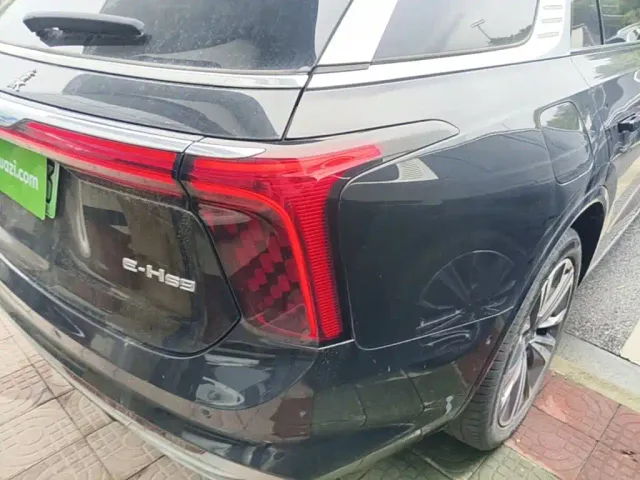 Hongqi E-HS9 — Фото автомобиля 7