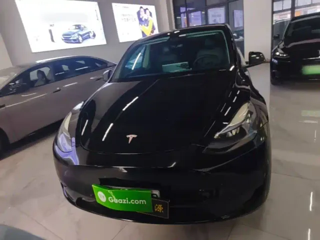 Tesla Model Y — Фото автомобиля 2