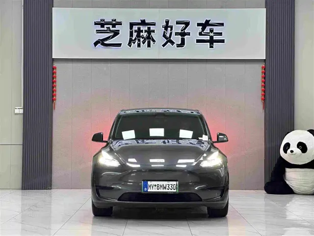 Tesla Model Y — Фото автомобиля 2