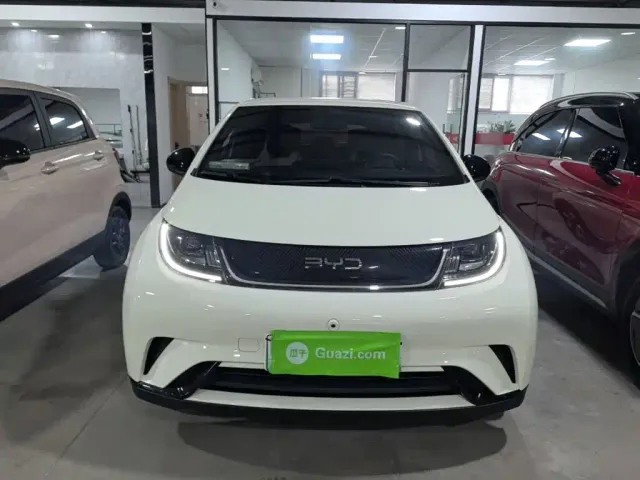 BYD Dolphin — Фото автомобиля 2