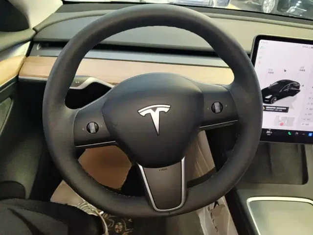 Tesla Model 3 — Фото автомобиля 10