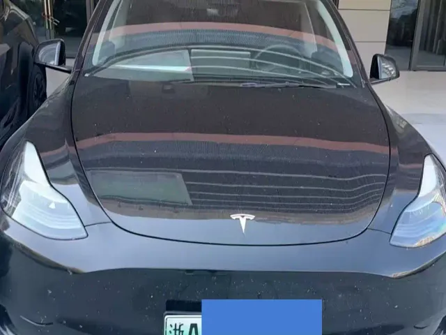 Tesla Model Y — Фото автомобиля 4