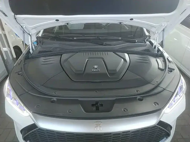 BYD Song PLUS — Фото автомобиля 19