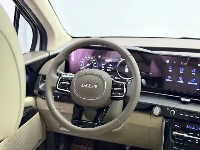 Kia Carnival — Фото автомобиля 20