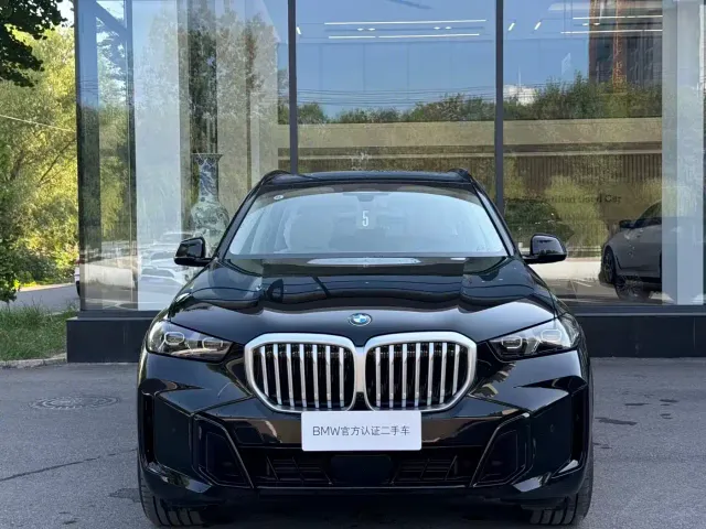 BMW X5 — Фото автомобиля 11