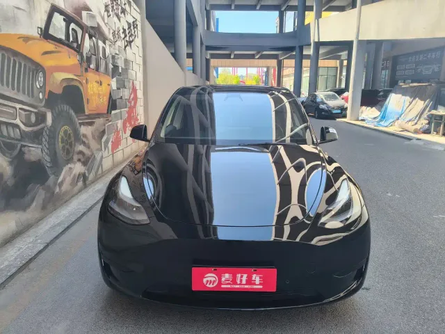 Tesla Model Y — Фото автомобиля 2