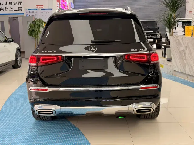Mercedes-Benz Maybach GLS 2022 GLS 480 4MATIC — Фото автомобиля 10