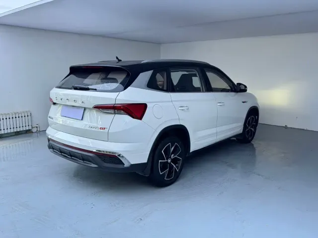 Skoda Kamiq — Фото автомобиля 6
