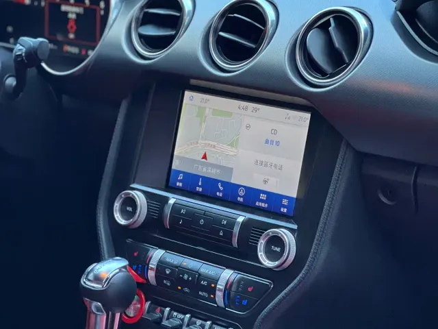 Ford Mustang — Фото автомобиля 6