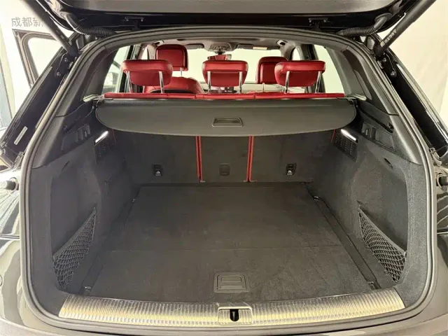 Audi SQ5 — Фото автомобиля 9