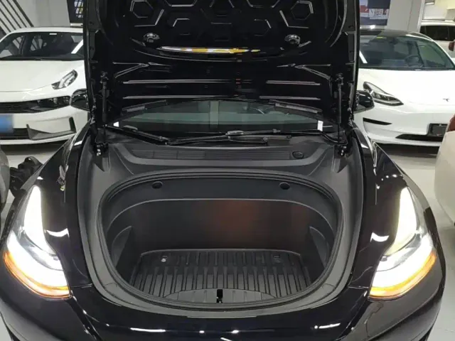 Tesla Model 3 — Фото автомобиля 19