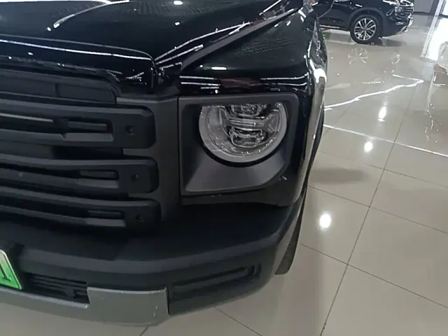 Haval Raptor — Фото автомобиля 23