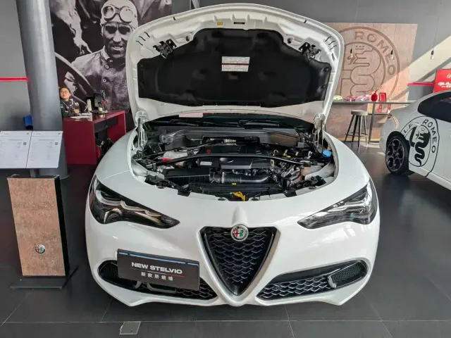 Alfa Romeo Stelvio — Фото автомобиля 14