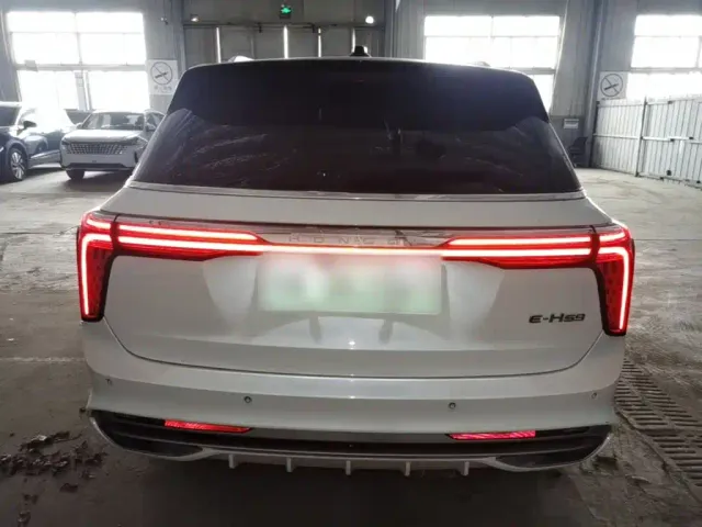 Hongqi E-HS9 — Фото автомобиля 5