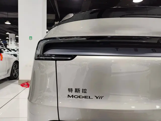 Tesla Model Y L — Фото автомобиля 19